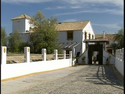 Antequera&nbsp;property:&nbsp;Commercial&nbsp;in&nbsp;Malaga&nbsp;for&nbsp;sale&nbsp;157822