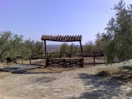 Antequera&nbsp;property:&nbsp;Malaga&nbsp;Commercial&nbsp;157822