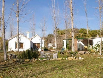 Alhaurin El Grande property: Villa for sale in Alhaurin El Grande 158004