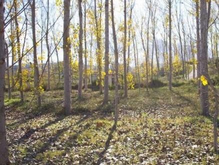 Alhaurin El Grande property: Malaga Villa 158004