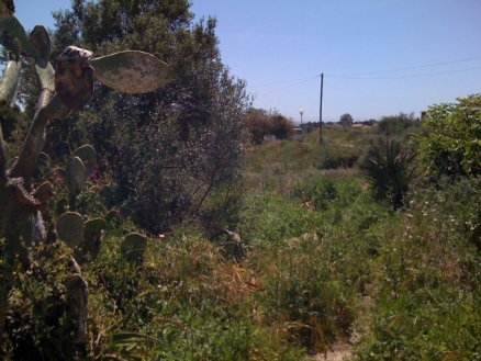 Estepona property: Land for sale in Estepona, Spain 158023