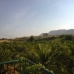 Cartama&nbsp;property:&nbsp;Cartama,&nbsp;Spain&nbsp;Villa&nbsp;158057