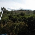 Alhaurin El Grande property: Beautiful Villa for sale in Malaga 158060