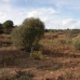 Coin property: Land for sale in Coin 158063