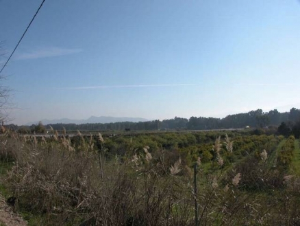 Cartama&nbsp;property:&nbsp;Land&nbsp;for&nbsp;sale&nbsp;in&nbsp;Cartama&nbsp;158079