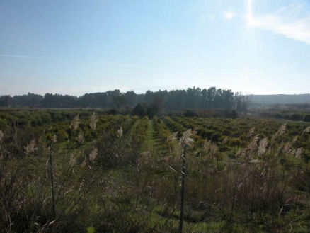 Cartama&nbsp;property:&nbsp;Land&nbsp;with&nbsp;bedroom&nbsp;in&nbsp;Cartama,&nbsp;Spain&nbsp;158079