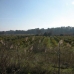 Cartama&nbsp;property:&nbsp;bedroom&nbsp;Land&nbsp;in&nbsp;Cartama,&nbsp;Spain&nbsp;158079