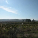 Cartama&nbsp;property:&nbsp;Land&nbsp;for&nbsp;sale&nbsp;in&nbsp;Cartama&nbsp;158080