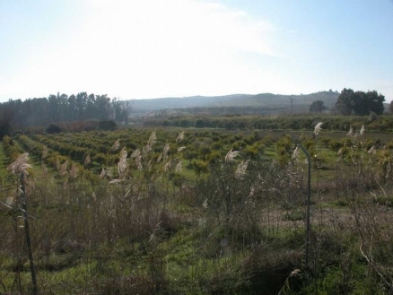 Cartama&nbsp;property:&nbsp;Land&nbsp;with&nbsp;bedroom&nbsp;in&nbsp;Cartama,&nbsp;Spain&nbsp;158080
