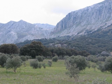 Antequera&nbsp;property:&nbsp;Malaga&nbsp;property&nbsp;|&nbsp;5&nbsp;bedroom&nbsp;Villa&nbsp;158152