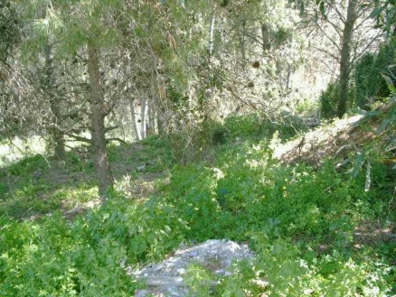 Torremuelle&nbsp;property:&nbsp;Land&nbsp;for&nbsp;sale&nbsp;in&nbsp;Torremuelle&nbsp;158380