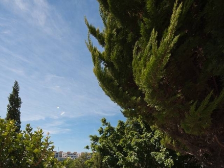 Torrenueva&nbsp;property:&nbsp;Malaga&nbsp;property&nbsp;|&nbsp;bedroom&nbsp;Land&nbsp;158585