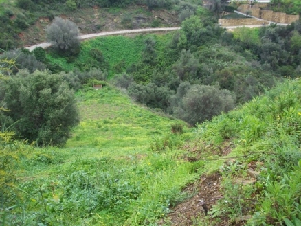 El&nbsp;Rosario&nbsp;property:&nbsp;Land&nbsp;for&nbsp;sale&nbsp;in&nbsp;El&nbsp;Rosario&nbsp;158589