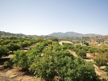 Alhaurin El Grande property: Malaga Townhome 158610