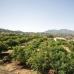 Alhaurin El Grande property: Beautiful Townhome for sale in Alhaurin El Grande 158610