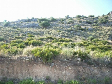 Coin property: Land for sale in Coin, Spain 158649