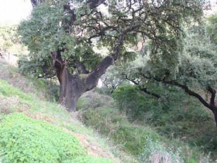 Land&nbsp;with&nbsp;bedroom&nbsp;in&nbsp;town&nbsp;158664