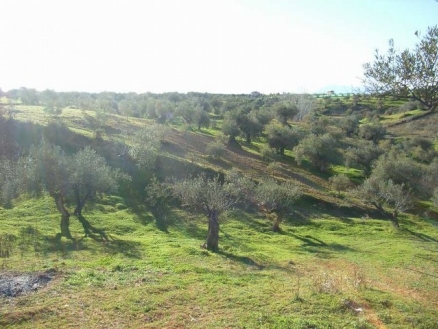 Alhaurin El Grande property: Land with bedroom in Alhaurin El Grande 158675