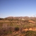 Alhaurin El Grande property: Alhaurin El Grande, Spain Land 158675