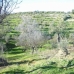 Alhaurin El Grande property: bedroom Land in Malaga 158675