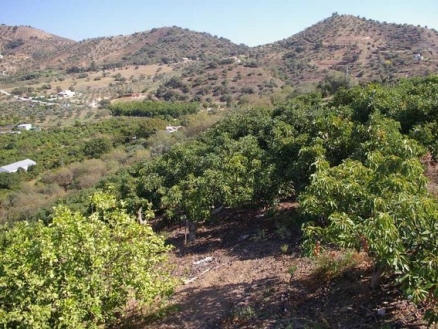 Coin property: Land for sale in Coin 158878