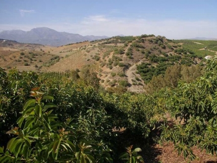 Coin property: Land for sale in Coin, Spain 158878