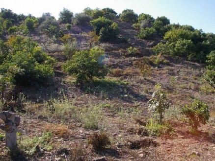 Coin property: Land with bedroom in Coin, Spain 158878