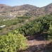 Coin property: Malaga, Spain Land 158878