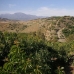 Coin property: Coin, Spain Land 158878