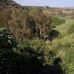 Coin property: bedroom Land in Coin, Spain 158878