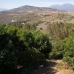 Coin property: Land in Malaga 158878
