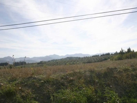 Alhaurin&nbsp;De&nbsp;La&nbsp;Torre&nbsp;property:&nbsp;Land&nbsp;for&nbsp;sale&nbsp;in&nbsp;Alhaurin&nbsp;De&nbsp;La&nbsp;Torre,&nbsp;Spain&nbsp;158897