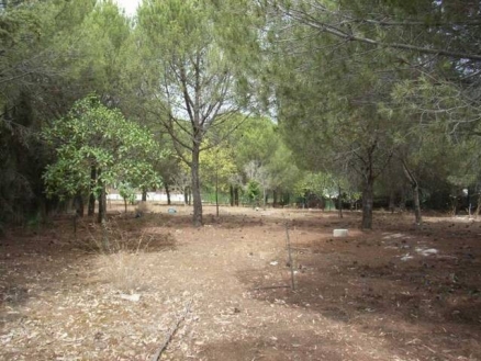 Alhaurin&nbsp;De&nbsp;La&nbsp;Torre&nbsp;property:&nbsp;Land&nbsp;with&nbsp;bedroom&nbsp;in&nbsp;Alhaurin&nbsp;De&nbsp;La&nbsp;Torre&nbsp;158991