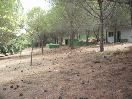 Alhaurin&nbsp;De&nbsp;La&nbsp;Torre&nbsp;property:&nbsp;Land&nbsp;for&nbsp;sale&nbsp;in&nbsp;Alhaurin&nbsp;De&nbsp;La&nbsp;Torre,&nbsp;Malaga&nbsp;158991