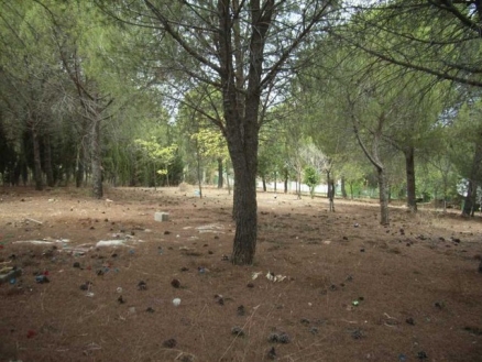 Alhaurin&nbsp;De&nbsp;La&nbsp;Torre&nbsp;property:&nbsp;Alhaurin&nbsp;De&nbsp;La&nbsp;Torre,&nbsp;Spain&nbsp;|&nbsp;Land&nbsp;for&nbsp;sale&nbsp;158991