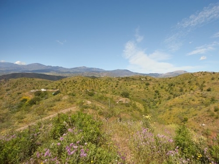 Alora&nbsp;property:&nbsp;Villa&nbsp;with&nbsp;2&nbsp;bedroom&nbsp;in&nbsp;Alora&nbsp;159029