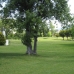 Estepona property: Apartment in Malaga 159038