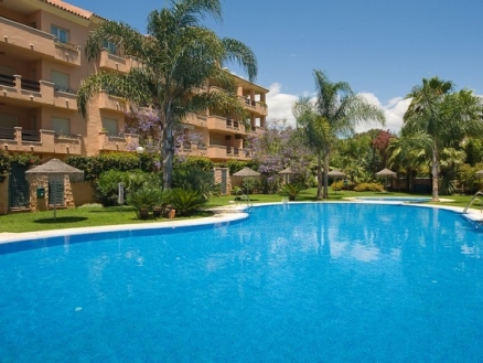 Carib&nbsp;Playa&nbsp;property:&nbsp;Carib&nbsp;Playa&nbsp;Apartment&nbsp;159068