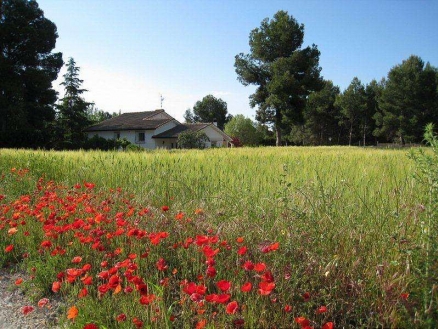 House with 4 bedroom in town 160372