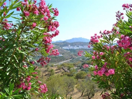 Guaro property: Villa with 2 bedroom in Guaro 160737