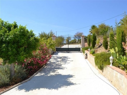 Guaro property: Guaro Villa 160737