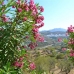 Guaro property: 2 bedroom Villa in Guaro, Spain 160737