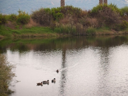 La&nbsp;Cala&nbsp;De&nbsp;Mijas&nbsp;property:&nbsp;Villa&nbsp;with&nbsp;4&nbsp;bedroom&nbsp;in&nbsp;La&nbsp;Cala&nbsp;De&nbsp;Mijas&nbsp;160983