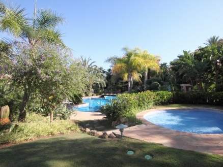 town&nbsp;Apartment&nbsp;161252