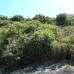 Benahavis&nbsp;property:&nbsp;&nbsp;Land&nbsp;in&nbsp;Malaga&nbsp;161286