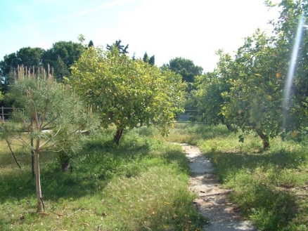 town&nbsp;Villa&nbsp;161304