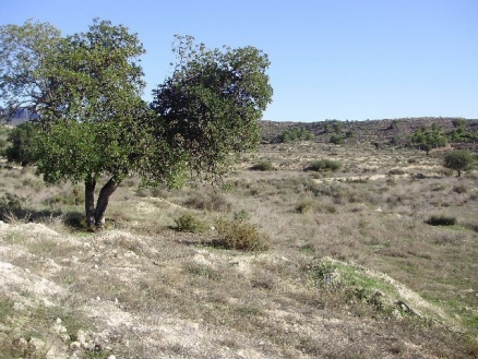 Busot&nbsp;property:&nbsp;Land&nbsp;for&nbsp;sale&nbsp;in&nbsp;Busot,&nbsp;Spain&nbsp;161371