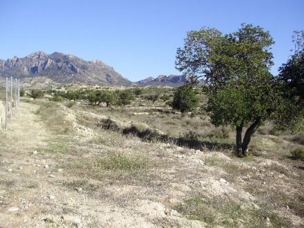 Busot&nbsp;property:&nbsp;Land&nbsp;for&nbsp;sale&nbsp;in&nbsp;Busot,&nbsp;Alicante&nbsp;161371