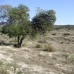Busot&nbsp;property:&nbsp;Alicante&nbsp;Land,&nbsp;Spain&nbsp;161371