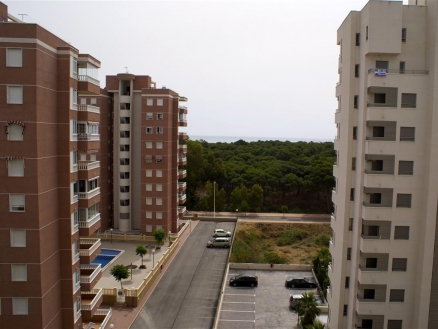 Guardamar&nbsp;Del&nbsp;Segura&nbsp;property:&nbsp;Apartment&nbsp;for&nbsp;sale&nbsp;in&nbsp;Guardamar&nbsp;Del&nbsp;Segura&nbsp;162344